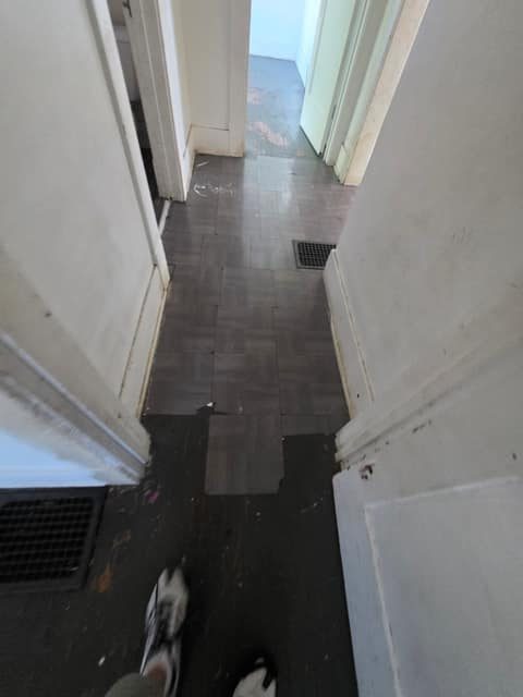 1705 E North St photo 16