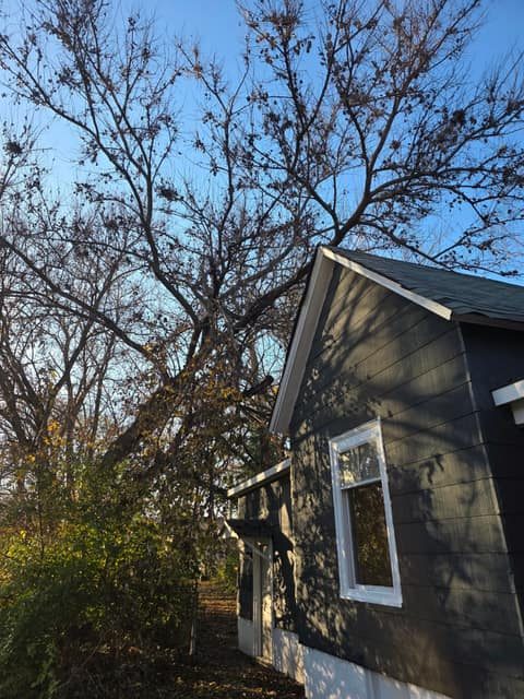 1811 N Morgan St photo 8