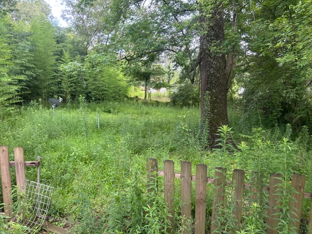 451 Mason Blvd photo 6