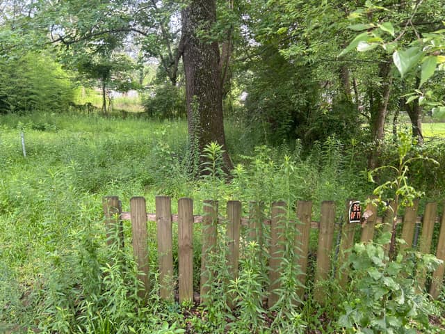 451 Mason Blvd photo 7