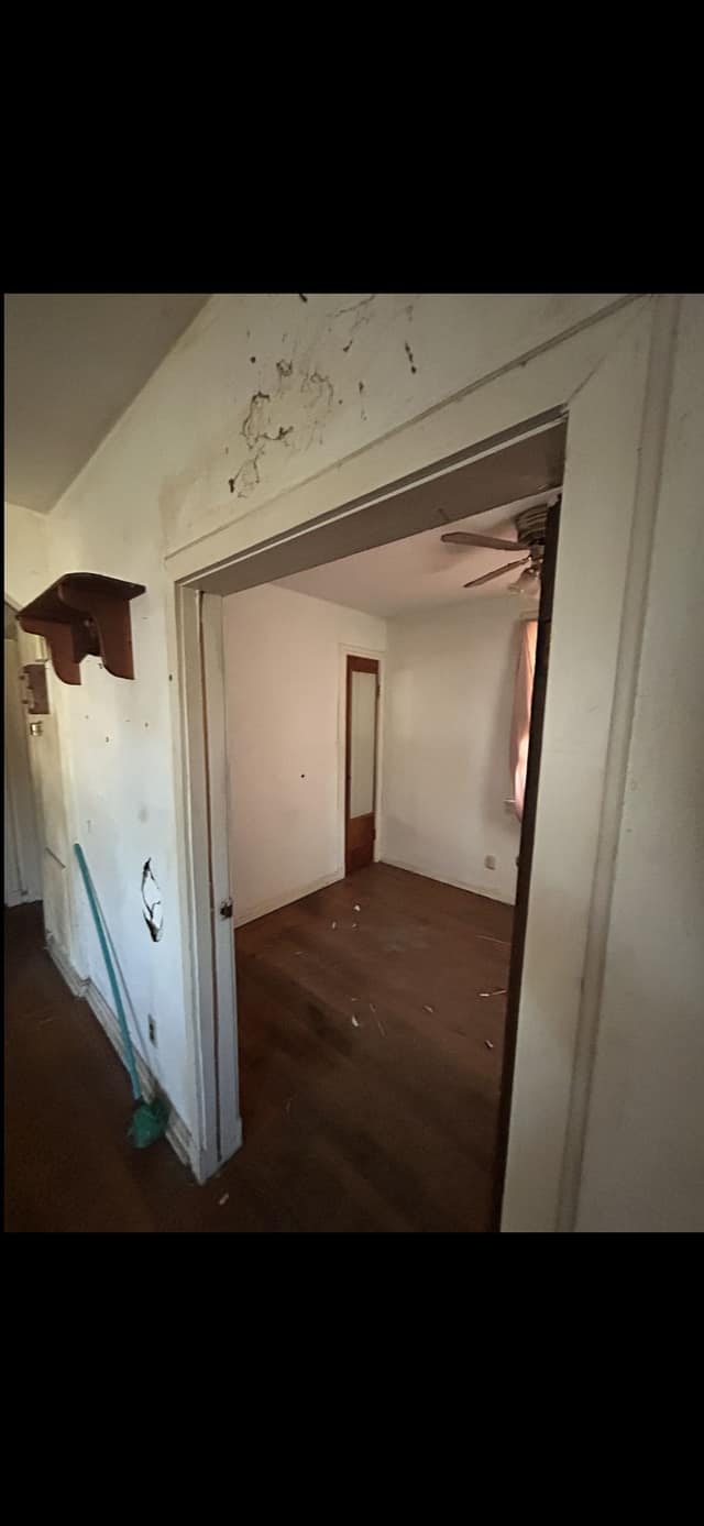 32 Connolly Dr  photo 26
