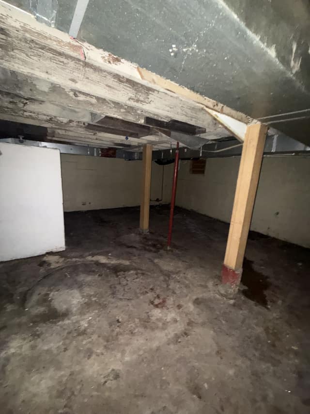 1553 E Walnut St  photo 12