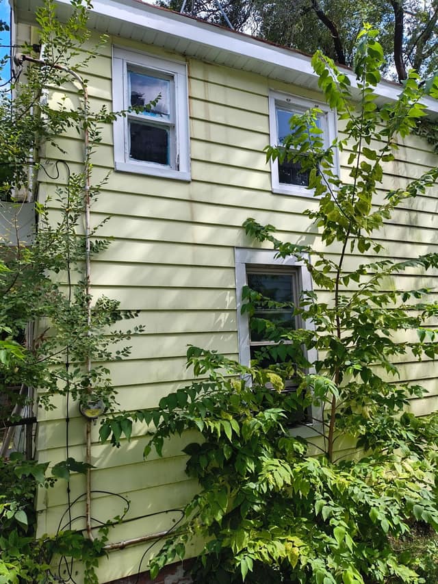 517 Vine St photo 1