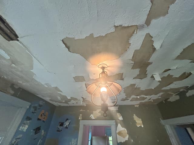 517 Vine St photo 7