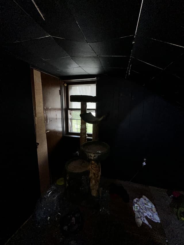 233 N 11th St photo 42