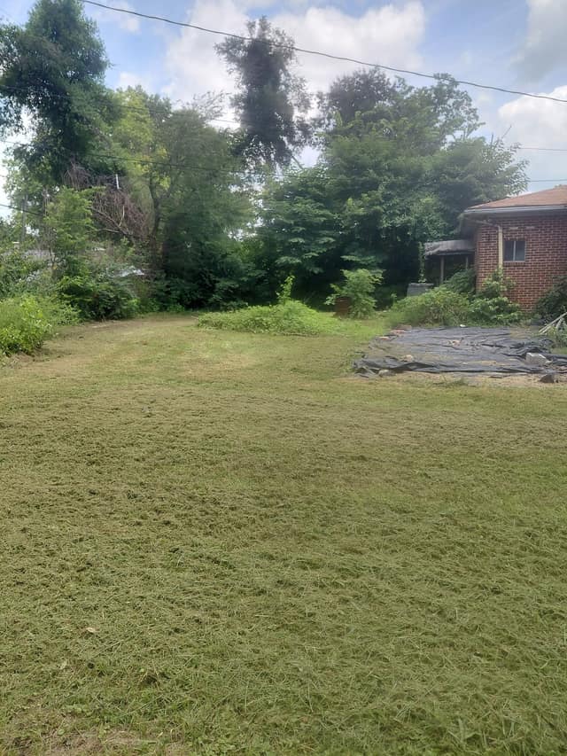 225 N 63rd St photo 3