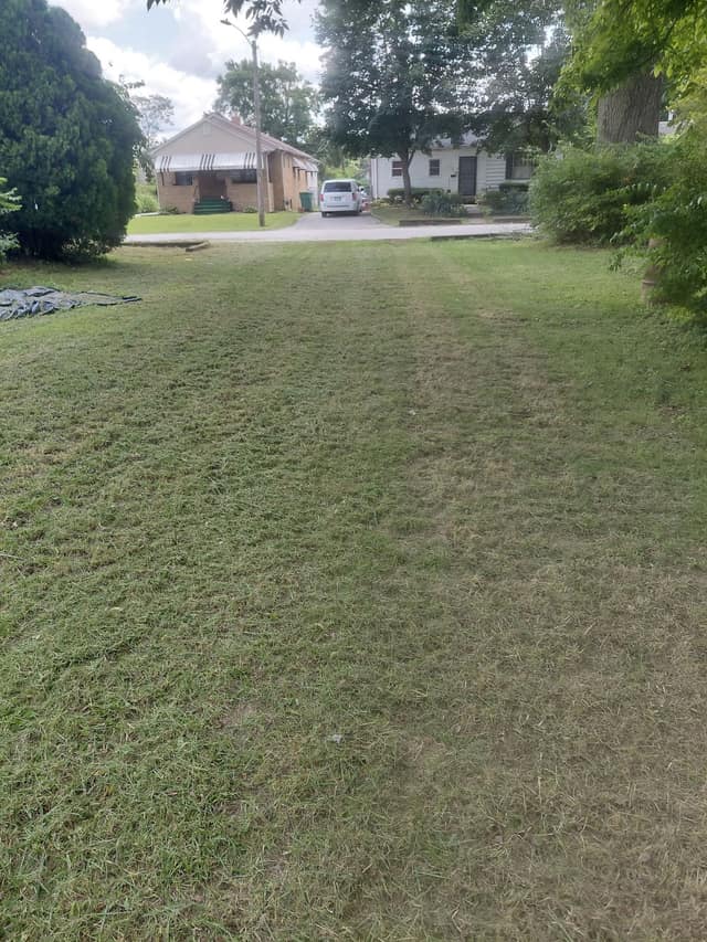225 N 63rd St photo 4