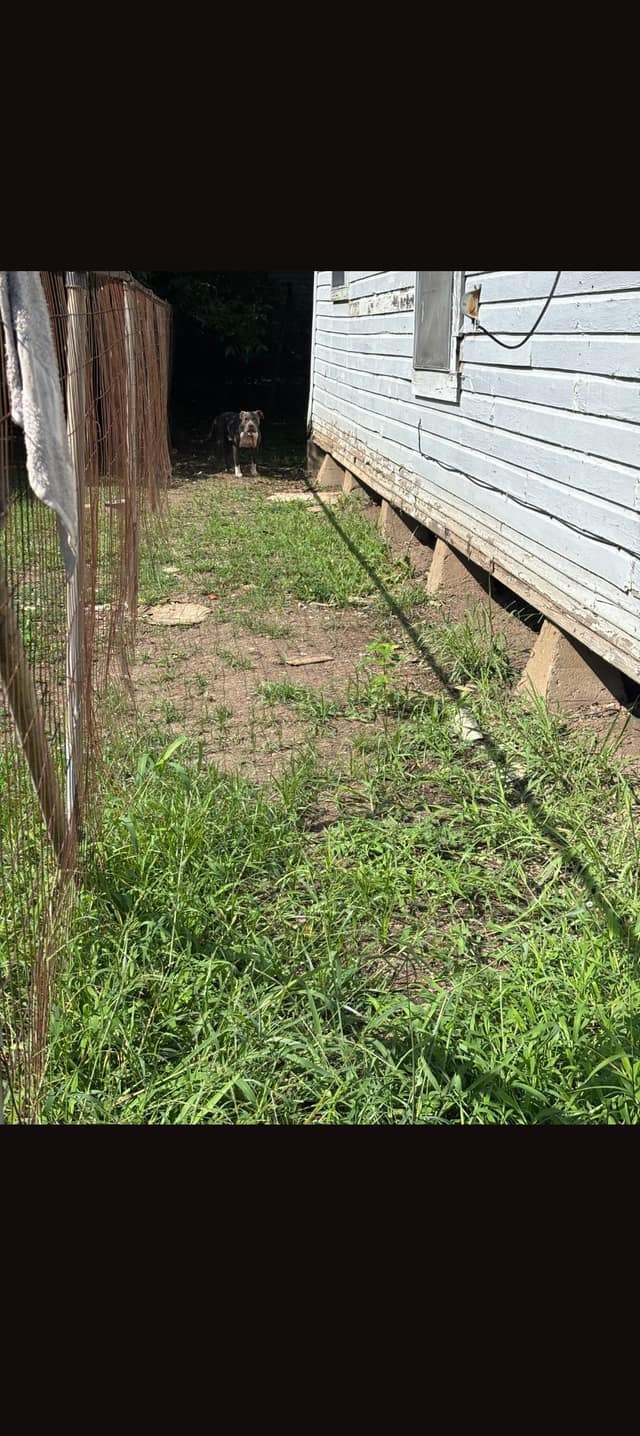 505 Sicily Street photo 10