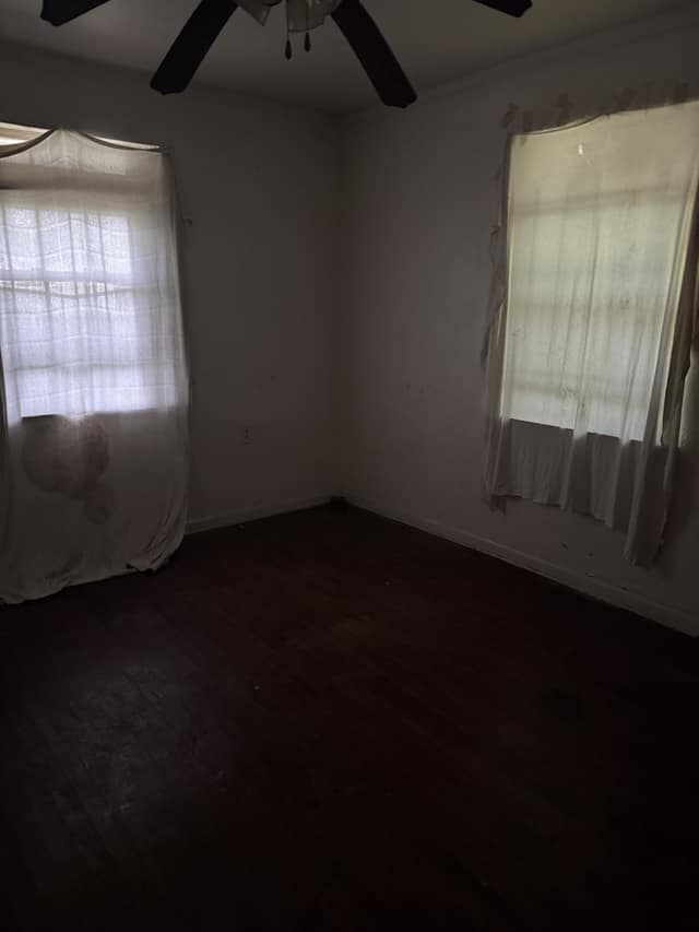 5050 Hallows Avenue photo 23