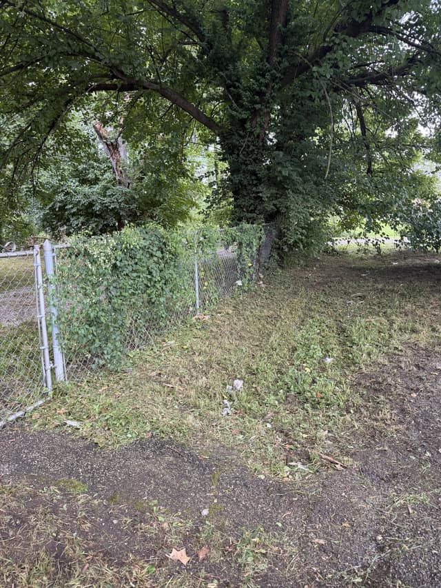 5050 Hallows Avenue photo 30