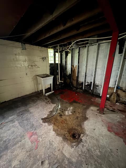 12094 Littlefield St photo 17