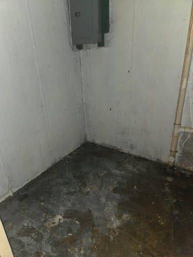 1039 Gimblin Street photo 21