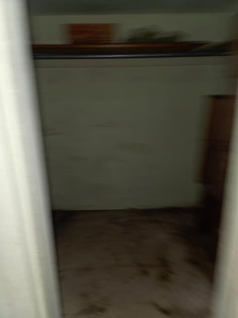 712 W Waggoner St photo 28