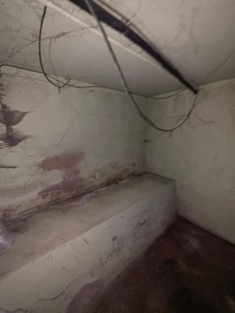 712 W Waggoner St photo 37