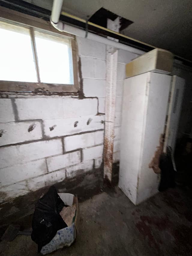 336 Goulding st photo 43