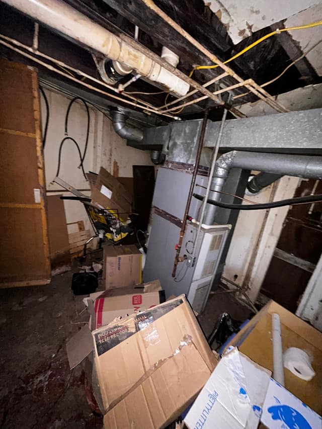 336 Goulding st photo 45