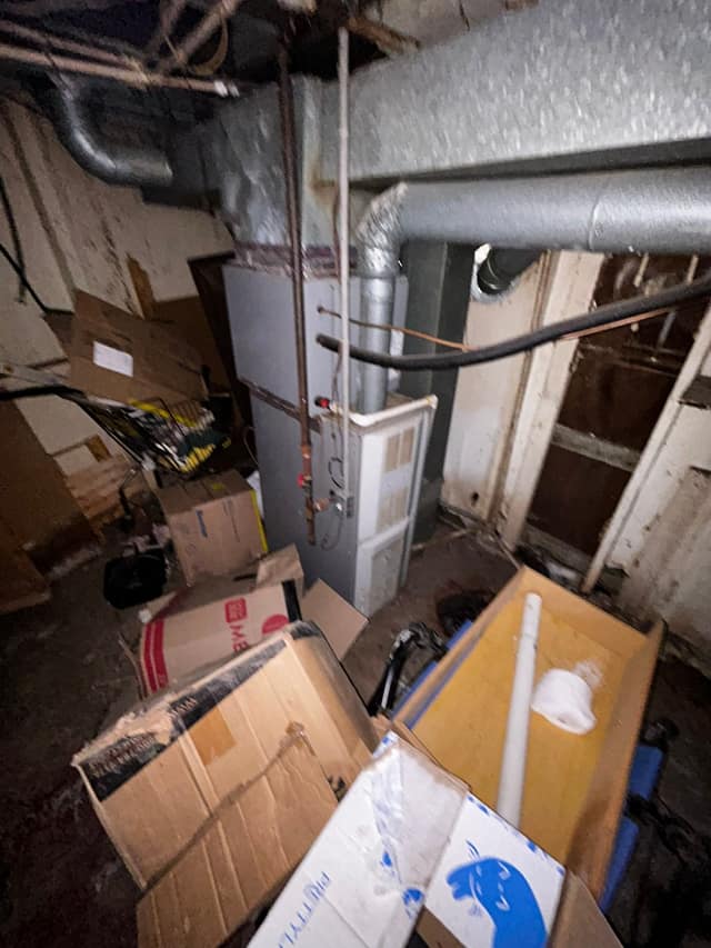 336 Goulding st photo 47