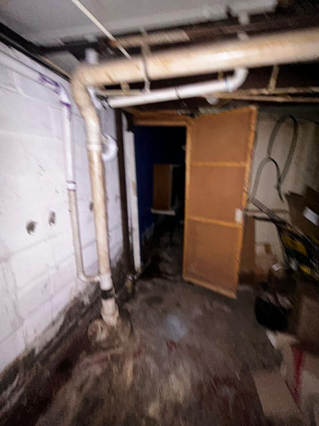 336 Goulding st photo 48