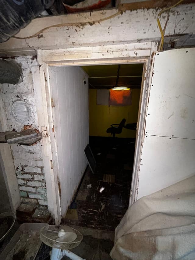 336 Goulding st photo 49
