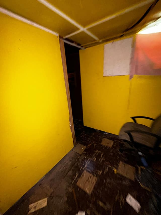 336 Goulding st photo 51
