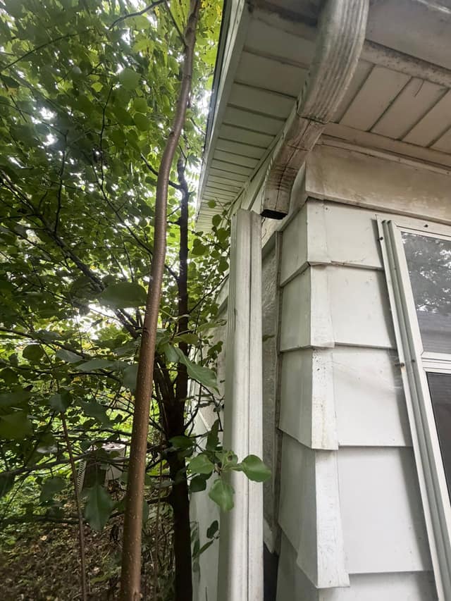 707 N Madison st photo 28