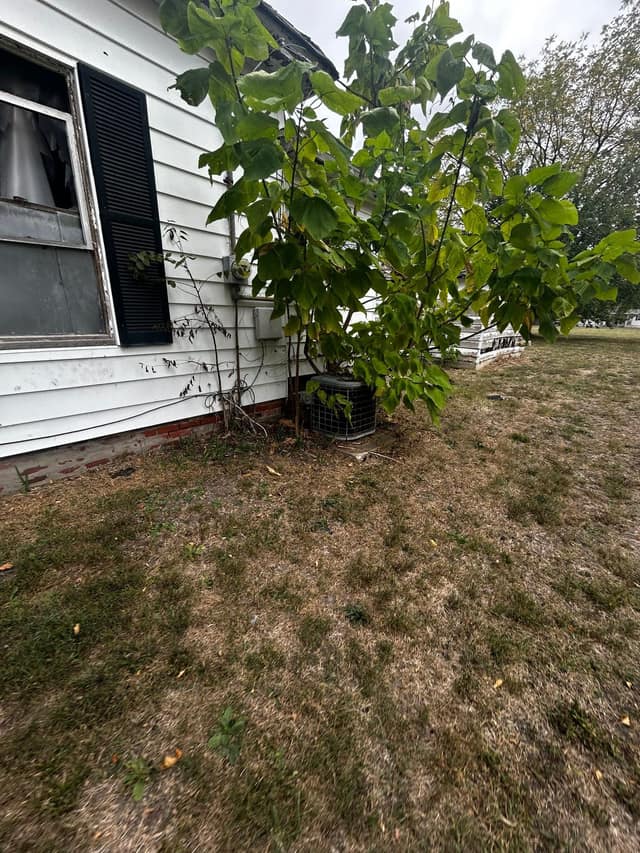 529 N 2nd Street photo 7